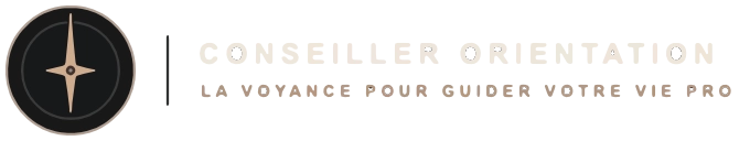 Conseiller Orientation